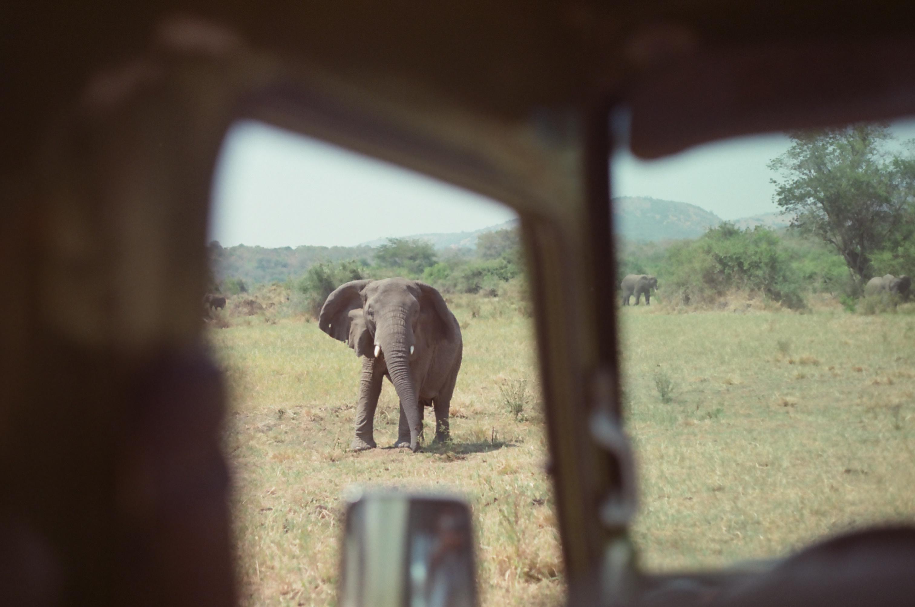 Akagera Camping